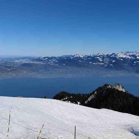 Studio Myrtilles Du Leman Vue Sur Lac Et Montagne Толлон Экстерьер фото
