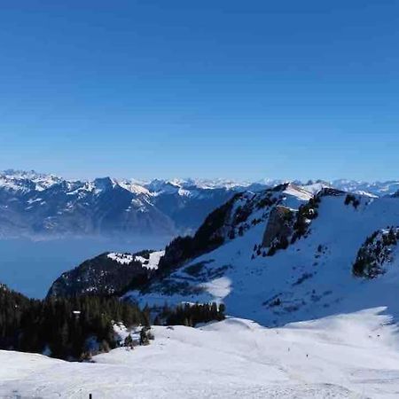Studio Myrtilles Du Leman Vue Sur Lac Et Montagne Толлон Экстерьер фото
