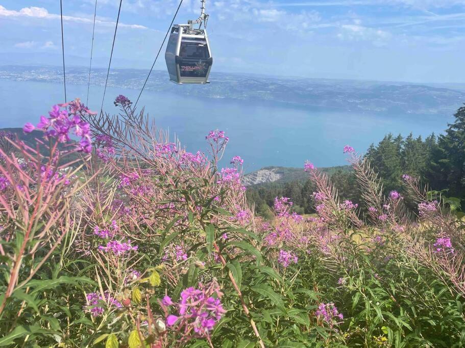 Studio Myrtilles Du Leman Vue Sur Lac Et Montagne Толлон Экстерьер фото