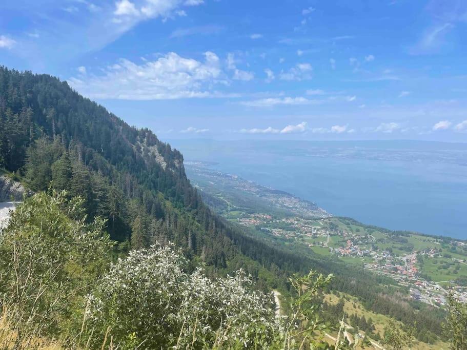 Studio Myrtilles Du Leman Vue Sur Lac Et Montagne Толлон Экстерьер фото